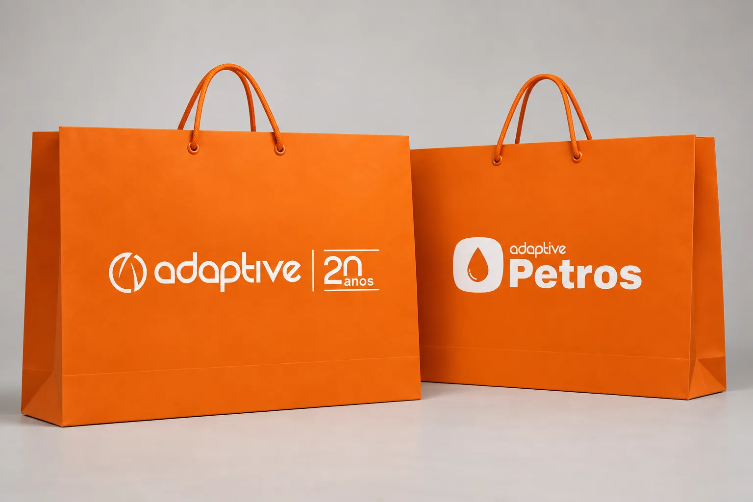 Imagem de referência: peso do conteúdo em sacolas altas: o que avaliar: orientações para o seu projeto